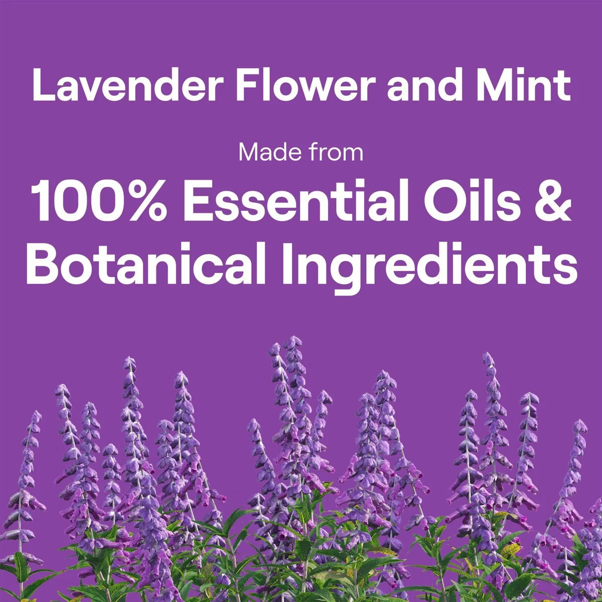 Seventh Generation Lavender & Mint Dish Liquid Soap