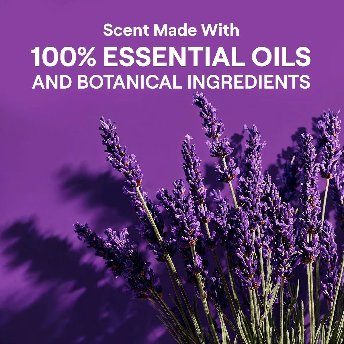 Seventh Generation Liquid Laundry Detergent Soap - Fresh Lavender Scent